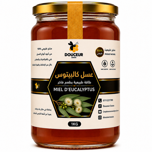 عسل كاليبتوس الطبيعي – Douceur Souss